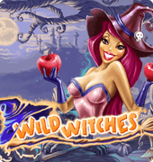 Игровой автомат Wild Witches