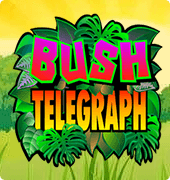 Игровой автомат Bush Telegraph