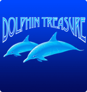 Игровой автомат Dolphins Treasure