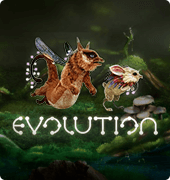 Игровой автомат Evolution