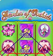 Игровой автомат Garden of Orchids