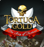 Игровой автомат Tortuga Gold