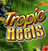 Игровой автомат Tropic Reels