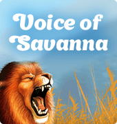 Игровой автомат Voice of Savanna