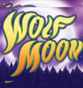 Игровой автомат Wolf Moon